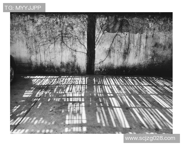 黑白光影下展现传奇绿茵巨星坚毅目光与不灭足球梦想 黑白光影下展现传奇绿茵巨星坚毅目光与不灭足球梦想