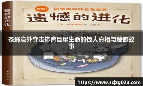 DB旗舰官网