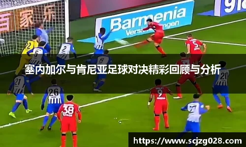 DB旗舰官网